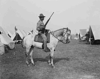 African American Black Soldat in San Juan Hill mit Teddy Roosevelt War 8 x 10 Foto Einer der wenigen tapferen schwarzen Soldaten dort 1898