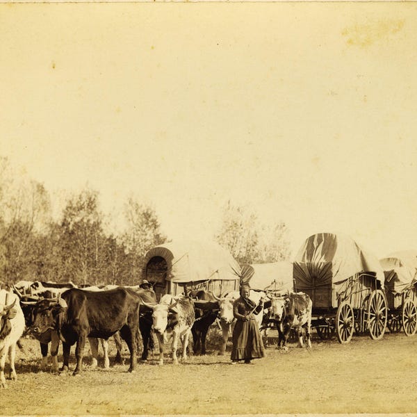 8  x 10 Old West Wagon Train Black Hill South Dakota 1876  Rare Find  Photo or Large Sign
