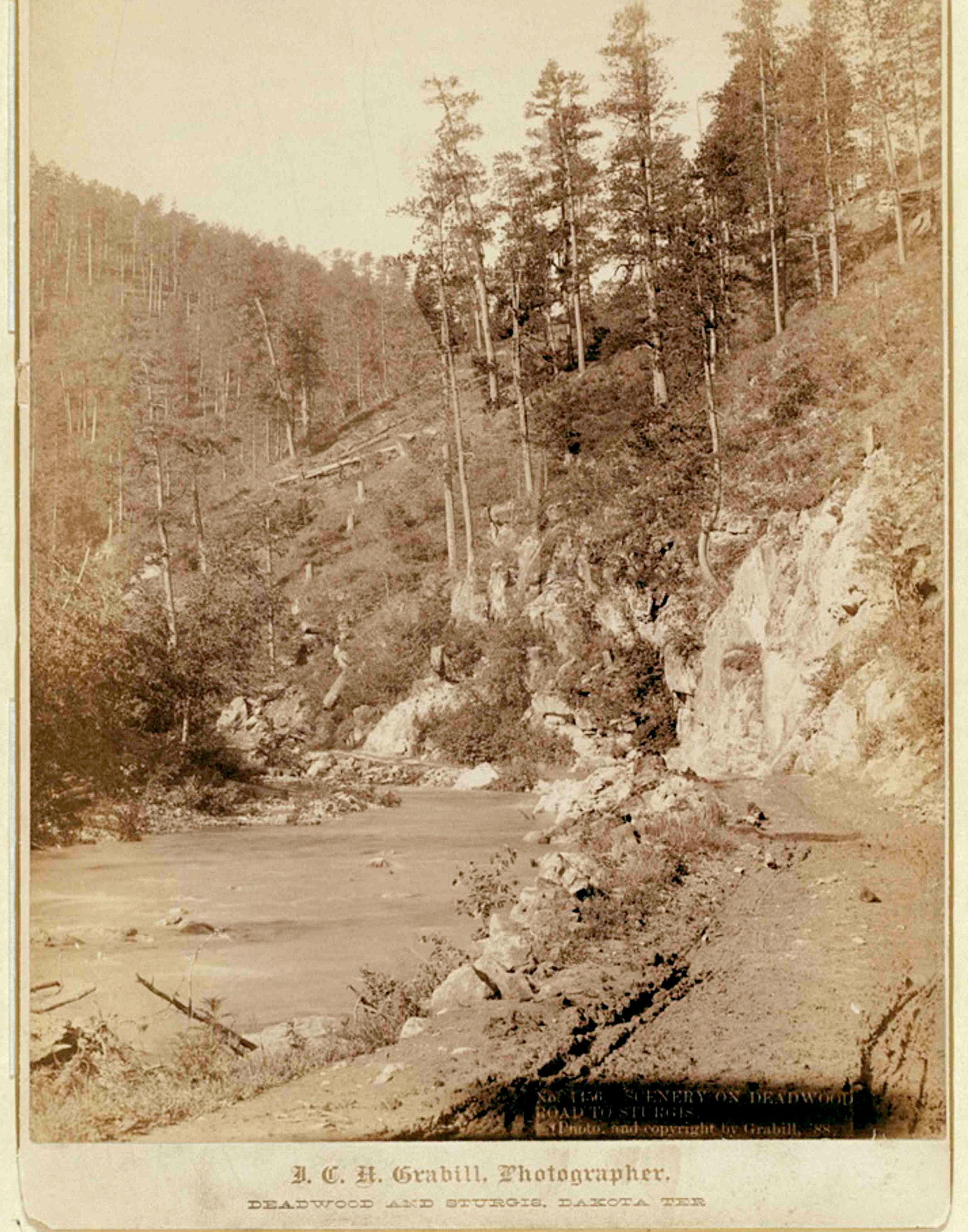 8x 10 Photo Very Nice Beautiful Fine Art Print Deadwood Mature