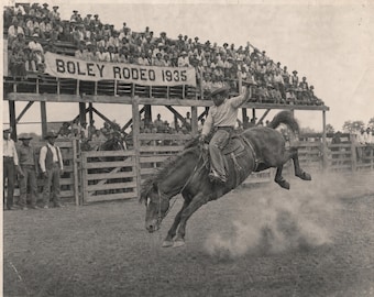 Boley Rodeo 1935 Black Cowboy Riding  A Bronc First Black Rodeo in the USA Histoical Photo Art African American 8 x 10 photo