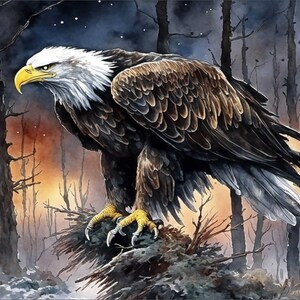 May include: A bald eagle with yellow talons perched on a branch in a dark forest setting. The eagle has brown and white feathers and a yellow beak. The background is a dark forest with a starry night sky.