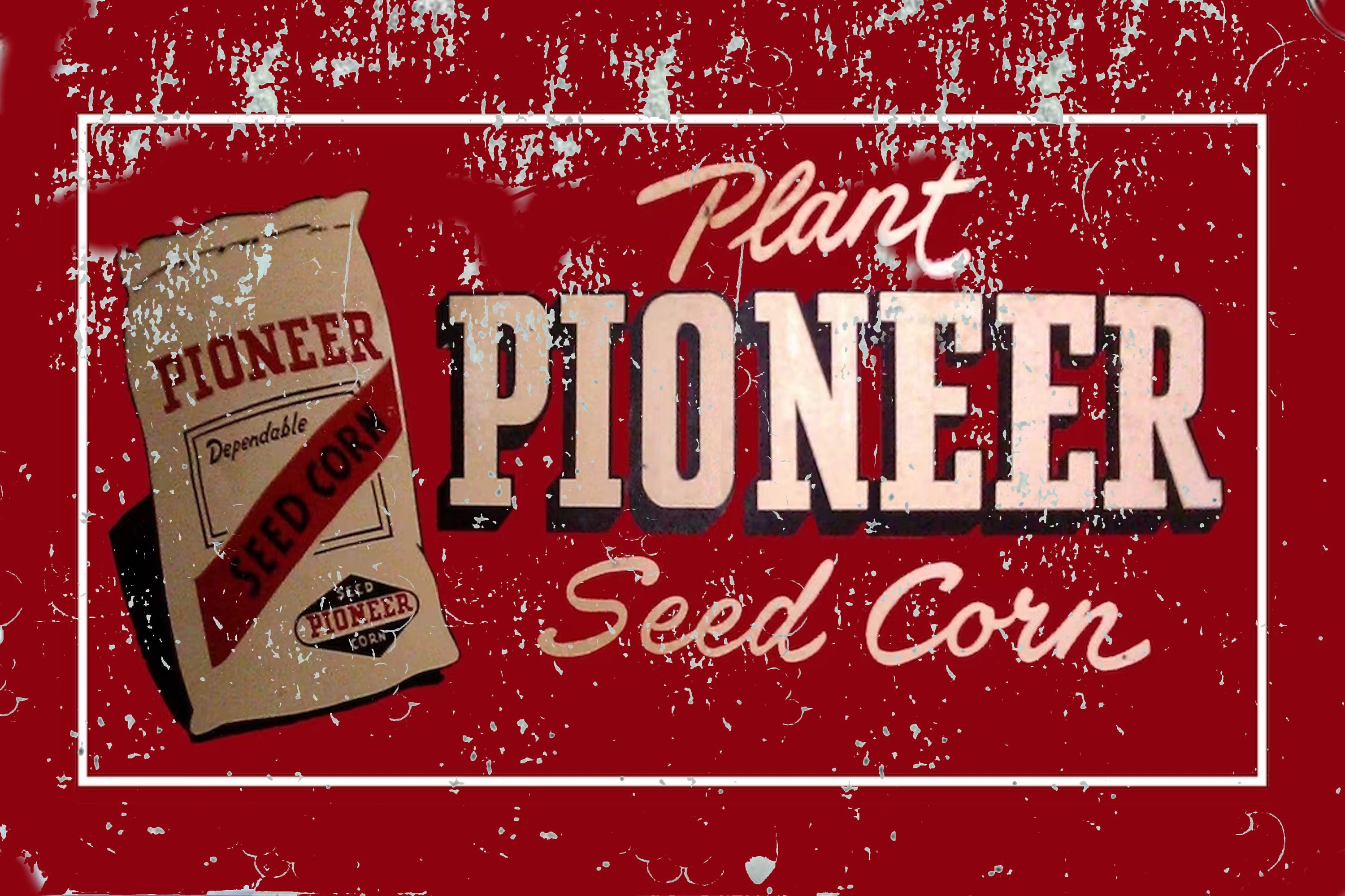 Plant Pioneer Seed Corn the Very Best 8 X 12 Vintage All Metal Tin