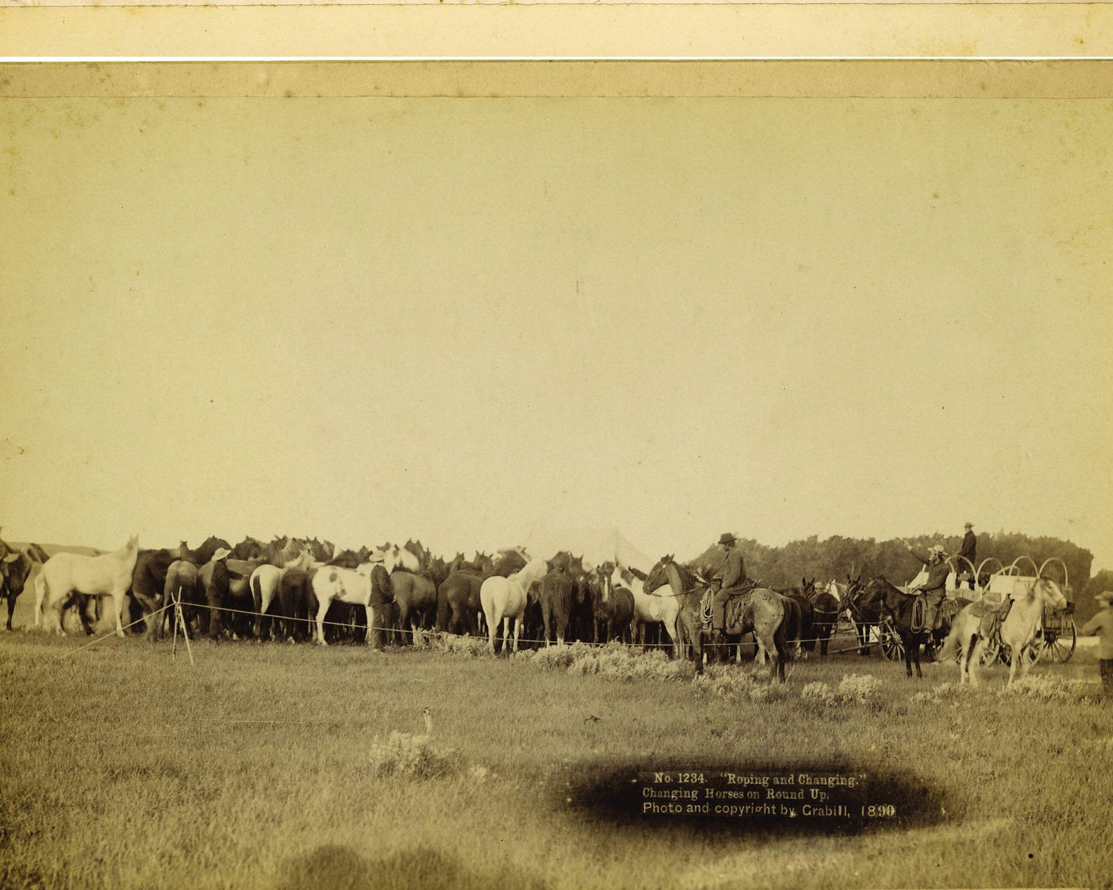 8 X 10 Old West Cowboys Hearding Horses 1885 Rare Find Photo or Large ...
