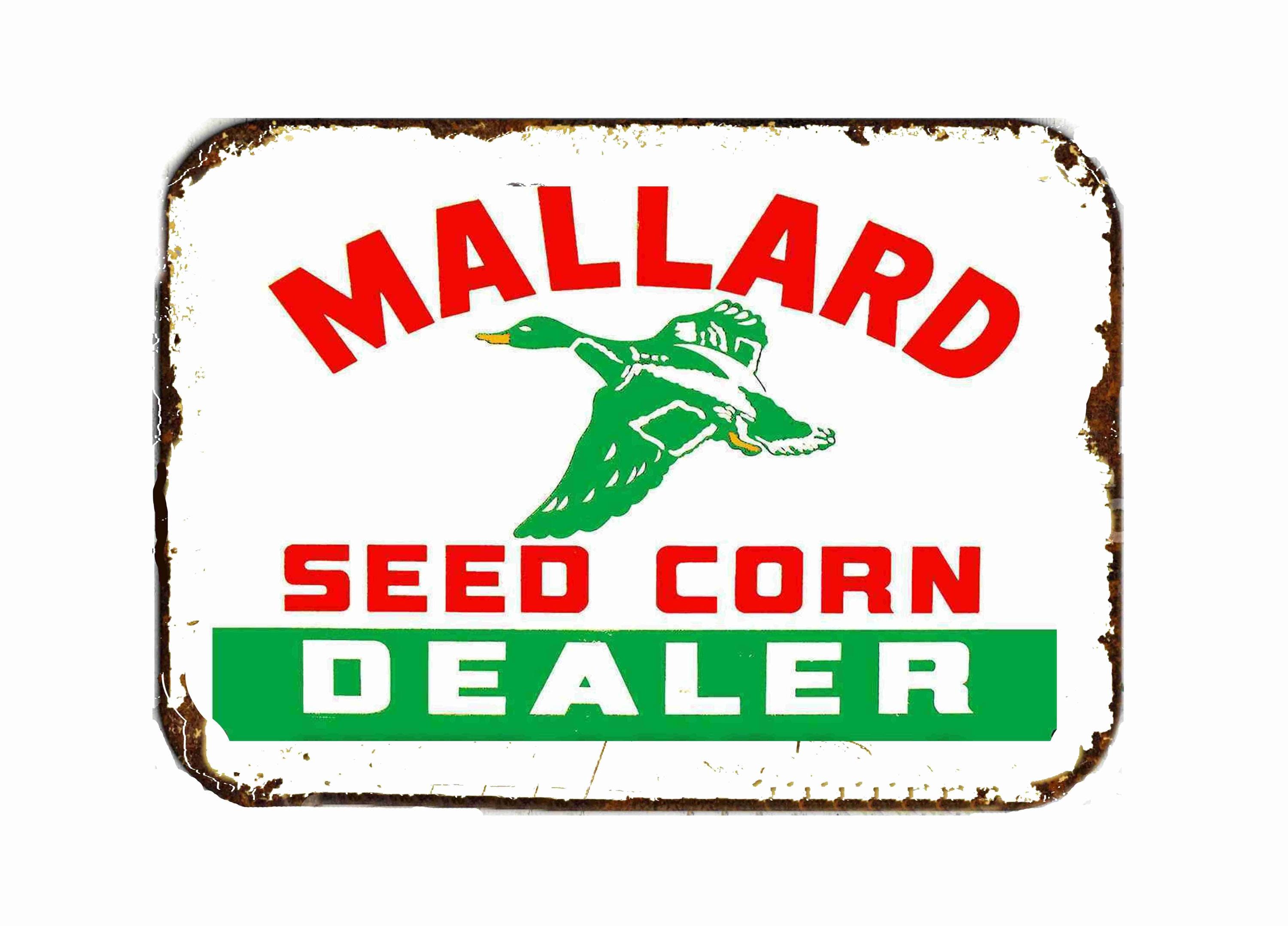 Targa In Latta Vintage 1964 Mallard Seed Mais Dealer 30,5x20,3 Cm Design Alluminio