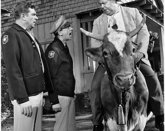 8 x 10 Photo Fine Art Print Andy Griffith Show  Hollywood Star of the Past