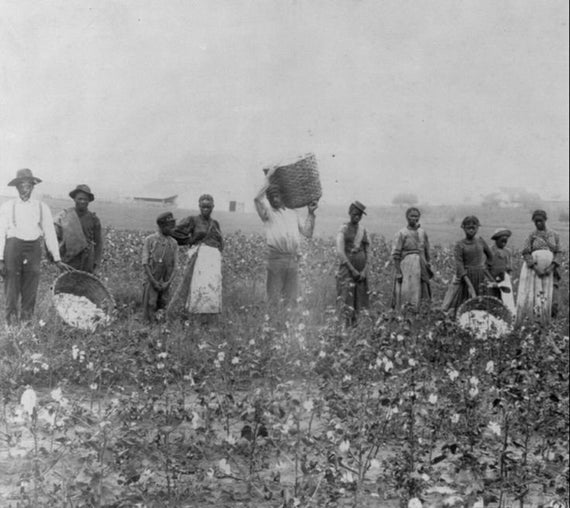 African American 8 X 10 Photo Slaves Cotton Picking Etsy