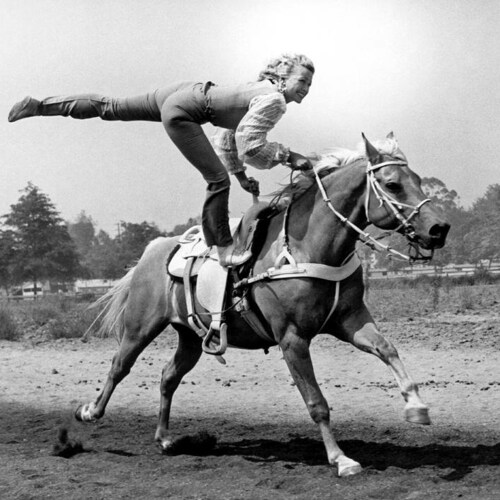 Rodeo COWGIRL Trick Riding 8 X10 Photo | Etsy