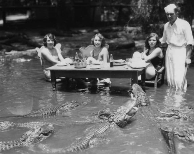 Diner With Aligators Weird freaky 8 x10  Vintage old Photo On Fuji Film Gloss Paper Rare Find