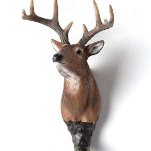 May include: A brown and black deer head wall hook. The deer head is realistic and has antlers. The hook is attached to the bottom of the deer head.