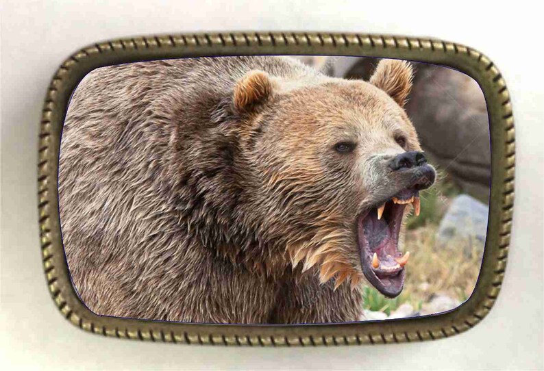 Yellowstone Park Grizzly Bear Belt Buckle All Brass Made in Etsy