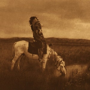 May include: A Native American man wearing a feathered headdress rides a white horse. The horse is drinking from a small pond in a grassy field.