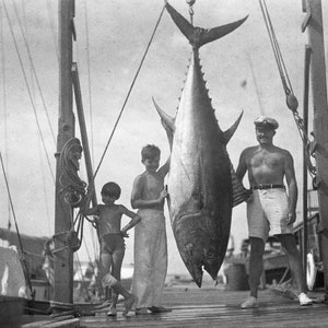 Könnte beinhalten: Eine Gruppe von Menschen steht auf einem Dock und hält einen großen, silbernen Fisch. Der Fisch hängt an einem Kran. Die Menschen lächeln und scheinen glücklich zu sein.