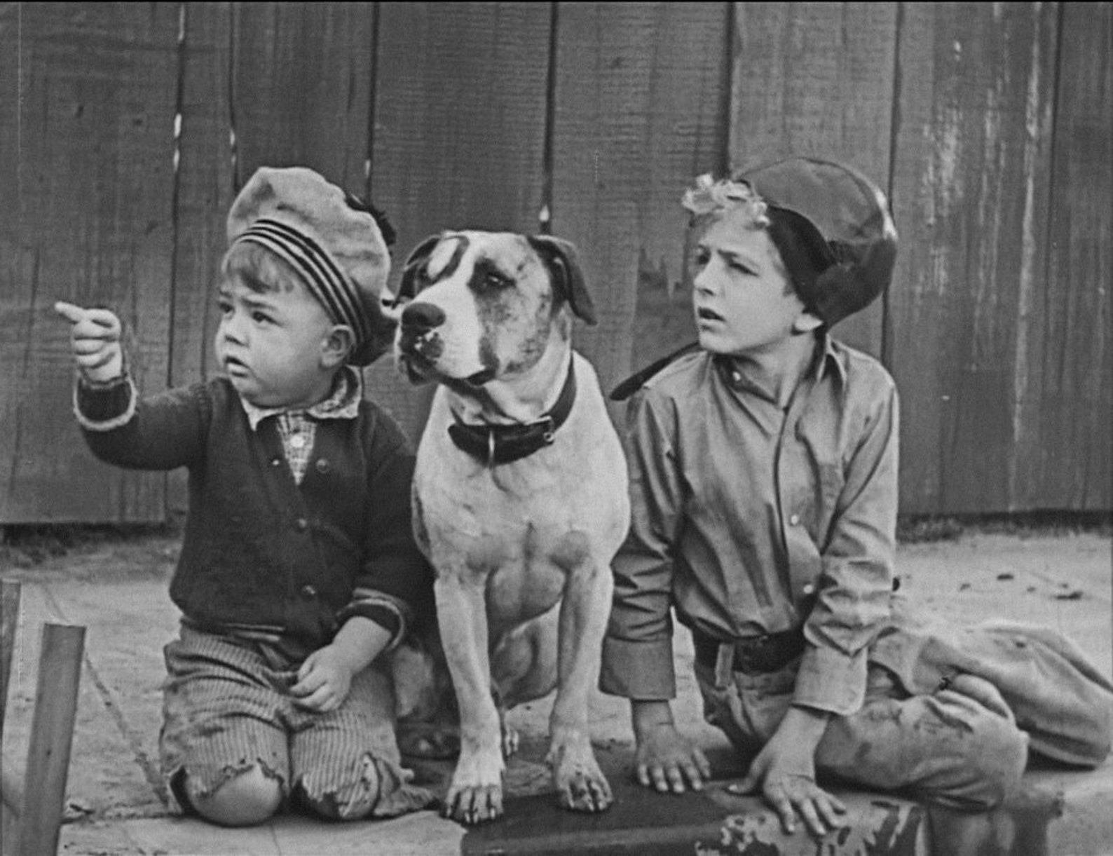 Little Rascals Our Gang Comedy and Petee the Dog 8 X 10 Photo - Etsy