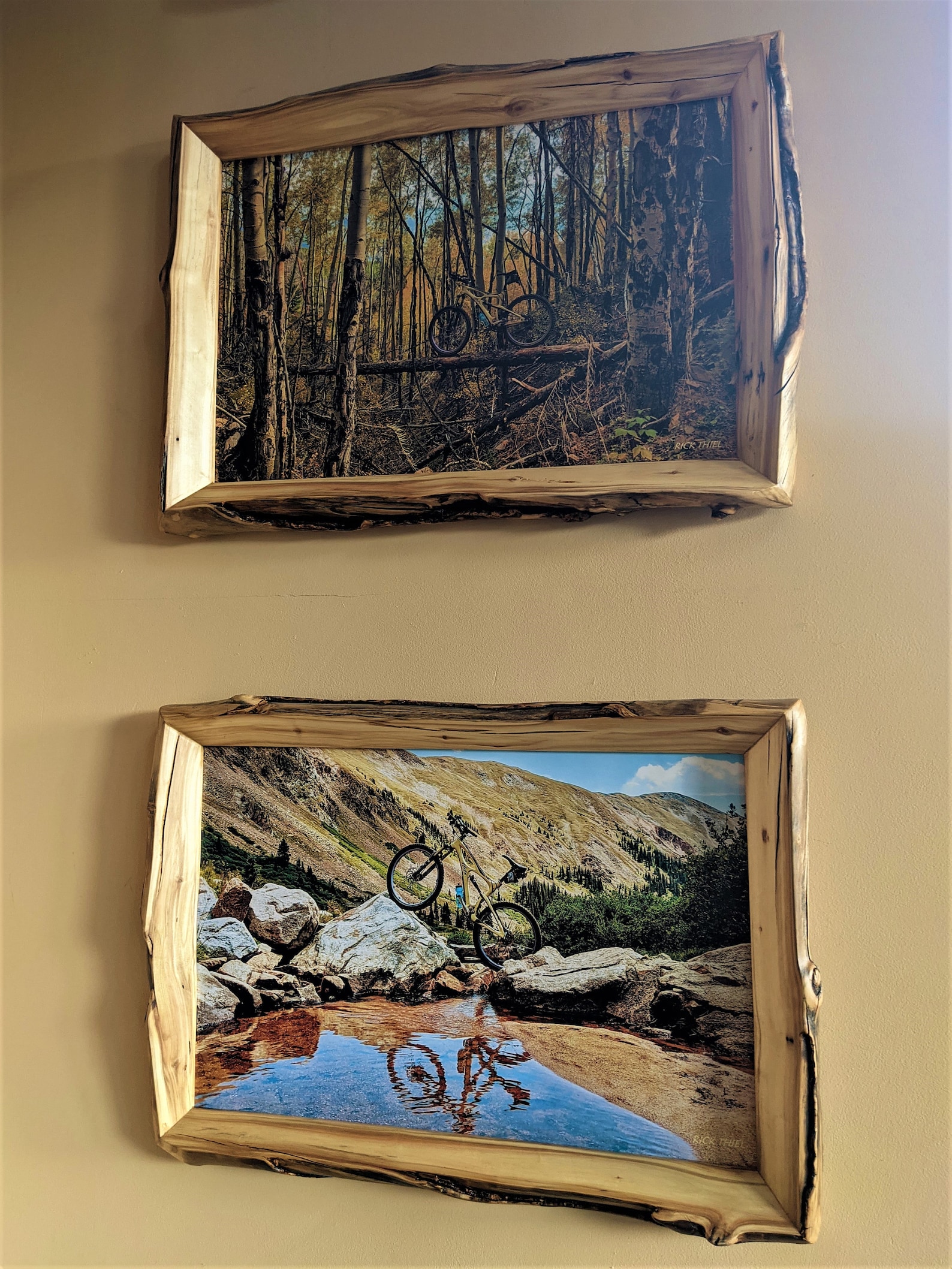 Colorado ASPEN wood picture frames. Custom rustic live edge Etsy