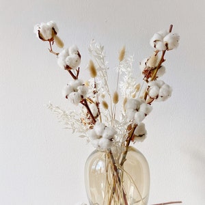 Dried flowers boho, cotton, home decoration beige, dried flower bouquet DIY, boho decoration white