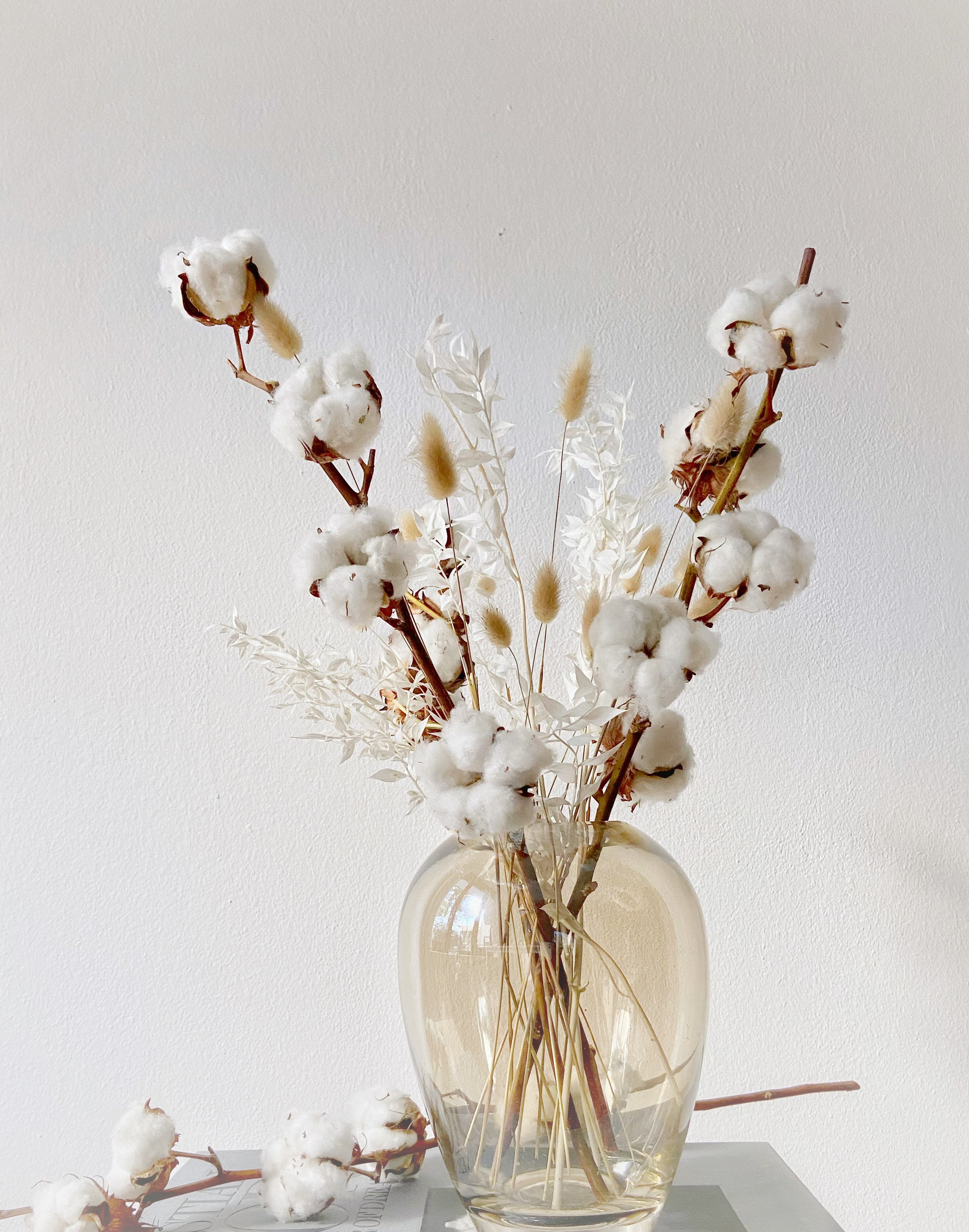 Fiori secchi boho, cotone, decorazione domestica beige, bouquet di fiori  secchi fai da te, decorazione boho bianca -  Italia