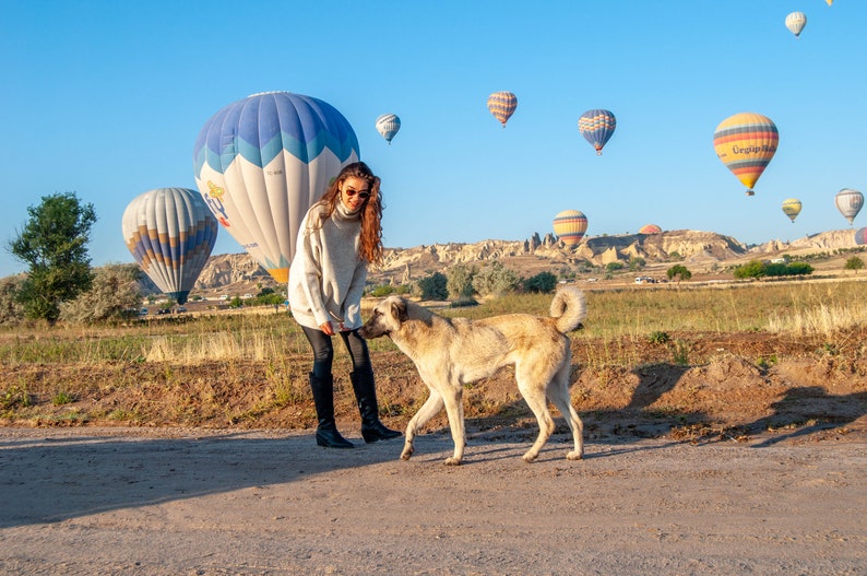 K&ouml;nnte beinhalten: Eine Frau in einem wei&szlig;en Pullover und schwarzen Hosen steht mit einem Hund auf einem Feld. Der Hund schaut die Frau an. Im Hintergrund sind Hei&szlig;luftballons zu sehen.