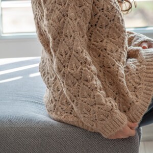 May include: A brown knitted sweater with a lacy pattern.
