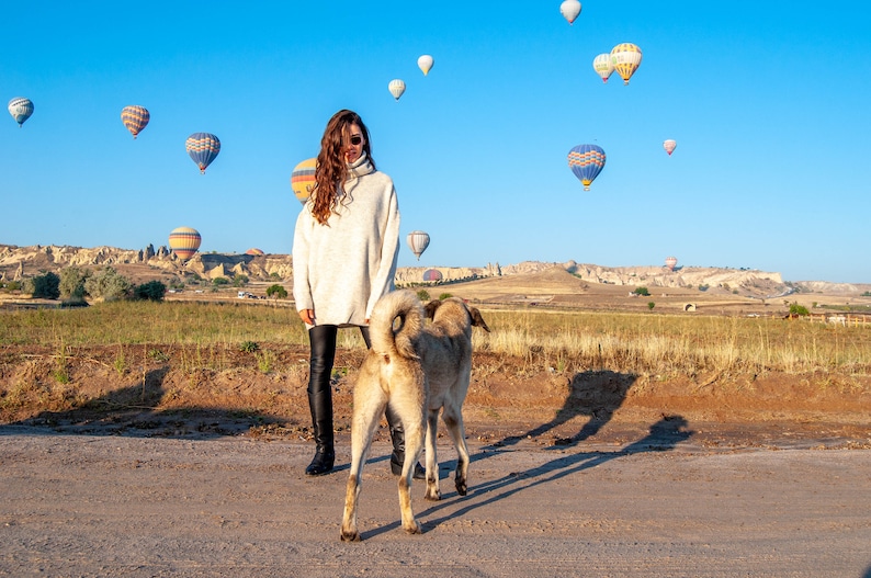 K&ouml;nnte beinhalten: Eine Frau in einem wei&szlig;en Pullover und schwarzen Leggings geht mit einem braunen und wei&szlig;en Hund auf einem Feld mit Hei&szlig;luftballons am Himmel spazieren.