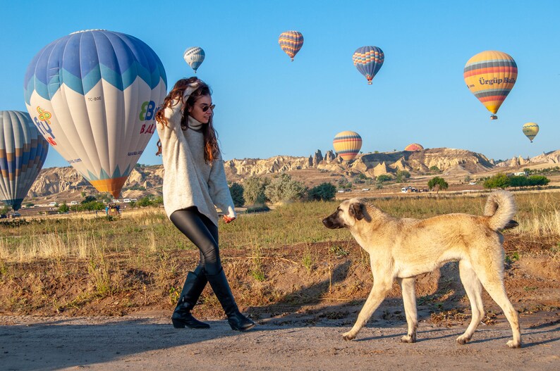 K&ouml;nnte beinhalten: Eine Frau in einem wei&szlig;en Pullover und schwarzen Leggings steht auf einem Feld mit einem Hund. Der Hund schaut die Frau an. Im Hintergrund sind Hei&szlig;luftballons zu sehen.