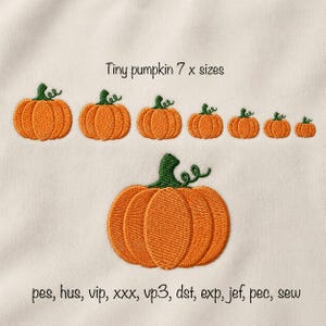 Digital download 7 sizes tiny pumpkin machine embroidery design multiple formats