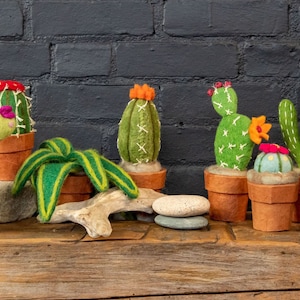 cactus / felt cactus / cactus decor / Cactus centerpiece / succulent decor / potted cactus