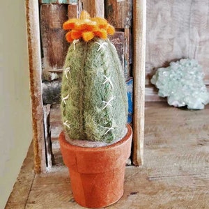 San Pietro Kaktus / Filz Kaktus / Kaktus Dekor / Sukkulenten Dekor / Topf Kaktus / Kaktus / Kaktus Blume / süßer Kaktus