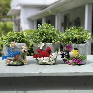 May include: Three gray felt planters with green foliage. Each planter features a different bird design: a bluebird, a red cardinal, and a yellow finch. White and pink felt flowers decorate the planters.
