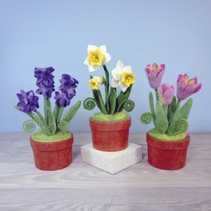 May include: Three felt flower arrangements in terracotta pots. The flowers include purple hyacinths, white and yellow daffodils, and pink and yellow tulips. The arrangements sit on a light wood surface against a blue background.