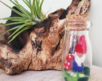 Gnome and Mushroom in a glass jar/ Mushroom Decor/ fairy garden / mini mushroom/ tiny glass jar/ mushroom terrarium