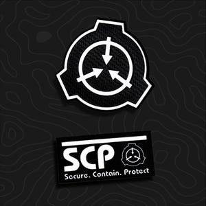 May include: Two embroidered patches in black and white. The top patch is a circular emblem with three inward-pointing arrows. The bottom rectangular patch features the text SCP and the phrase Secure. Contain. Protect. with a small circular emblem.