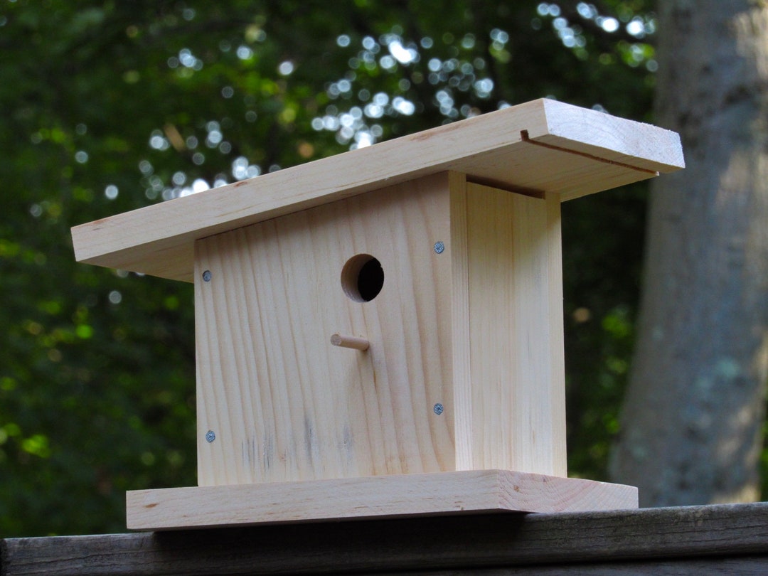 Modern Birdhouse Kit Woodworking Kit for Kids and Adults Etsy