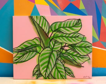 Calathea Ornata Toile Peinture 16x20 »