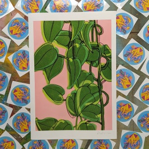 Pothos Houseplant Giclée Art Print A3+