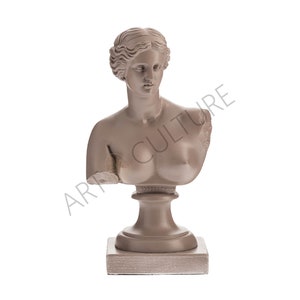 Venus Bust,Goddess Aphrodite Statue, Sculpture,Roman Sculpture Statues, Greek Statue,Marble,Decorarive Statuette,Abstract Art,Modern Colour