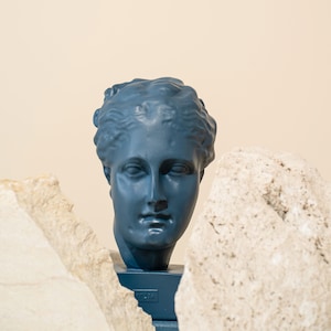 Higía Busto Escultura Diosa de la Salud Curación y Bienestar Pop art 23 cm Alto