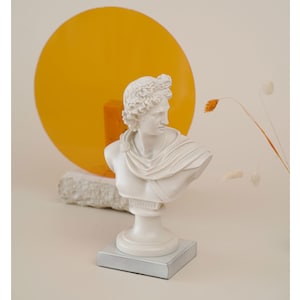 Apollo Bust Statue Greek God Decorative Sculpture 25.5 cm Height