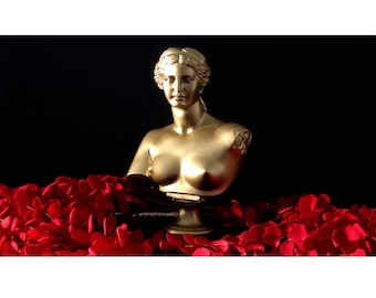 Venus Bust Goddess Aphrodite,Venus bust, Greek Statue Roman, Sculpture Statues, ArtCulture Abstract Art,Modern Gold Colour,Large Bust Statue