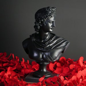 Apollo Bust Sculpture Black Art Home decor Statue 33 cm Height
