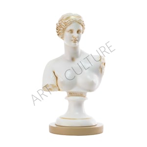 Venus Bust Greek Goddess Aphrodite Venus Bust Statue Roman Sculpture Statues Patina 25cm Height Medium