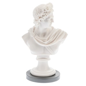 Apollo Bust Sculpture Limited Minimlaist Home Decor 25.5 cm Height