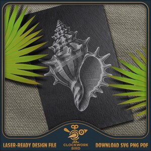 May include: A black rectangular slate tile featuring a white engraved illustration of a detailed seashell with prominent spikes. The design is centered on the slate, which is flanked by bright green palm leaves on the left and right sides.