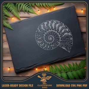 Ammonit Muschel Fossil Schiefer Gravur Laserdatei - Design für die Lasergravur in den Formaten SVG, PDF und PNG