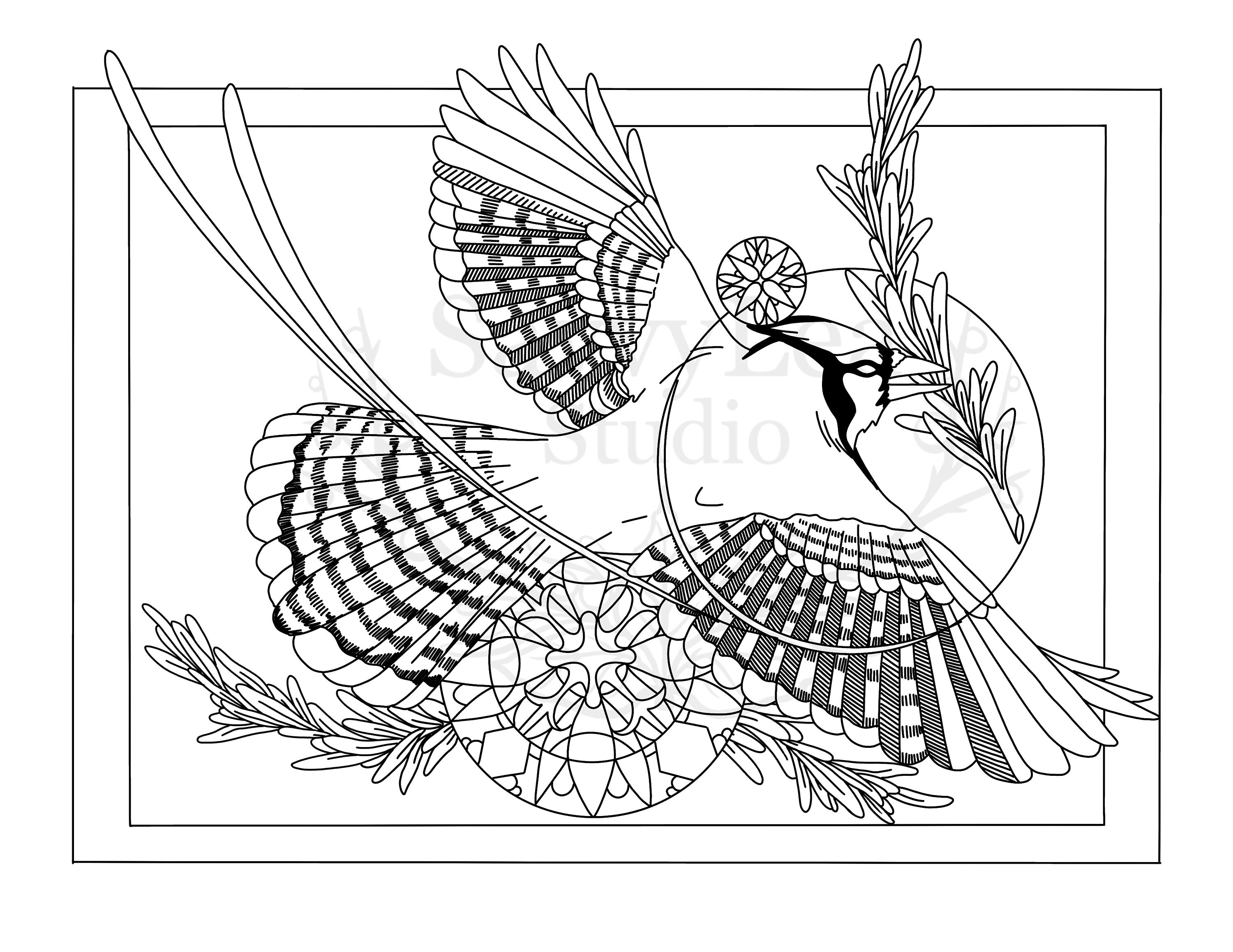 Printable Blue Jay Coloring Page Adult Coloring Book Nature - Etsy UK