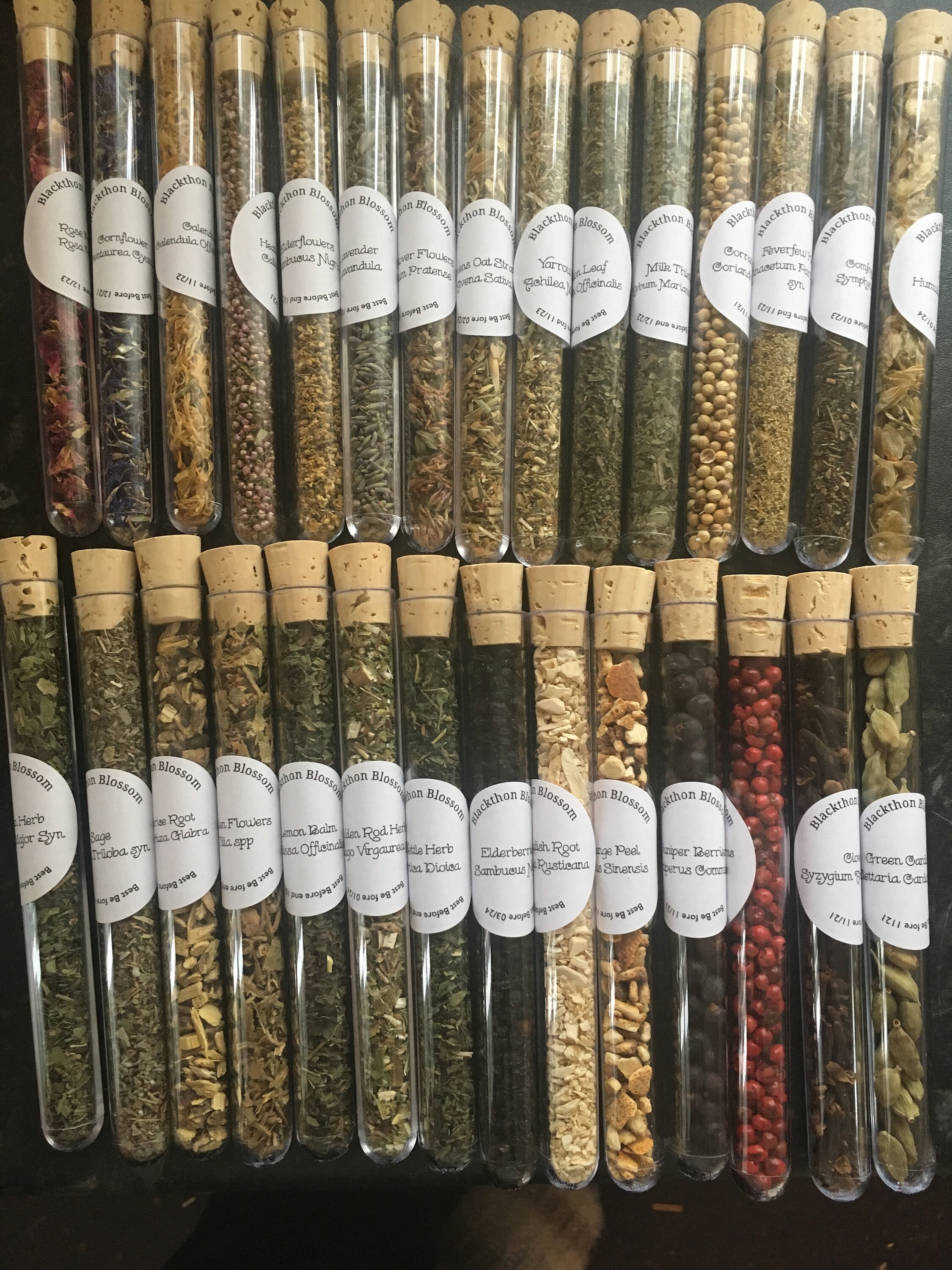 Test Tube filled with Herbs Herbal Remedies Herbs for Etsy