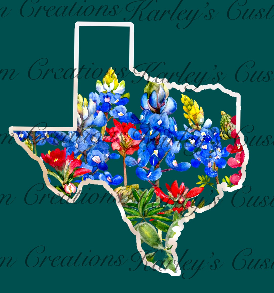 Texas Indian Paintbrush Png Sublimation DTF File Spring Texas Flowers Painted