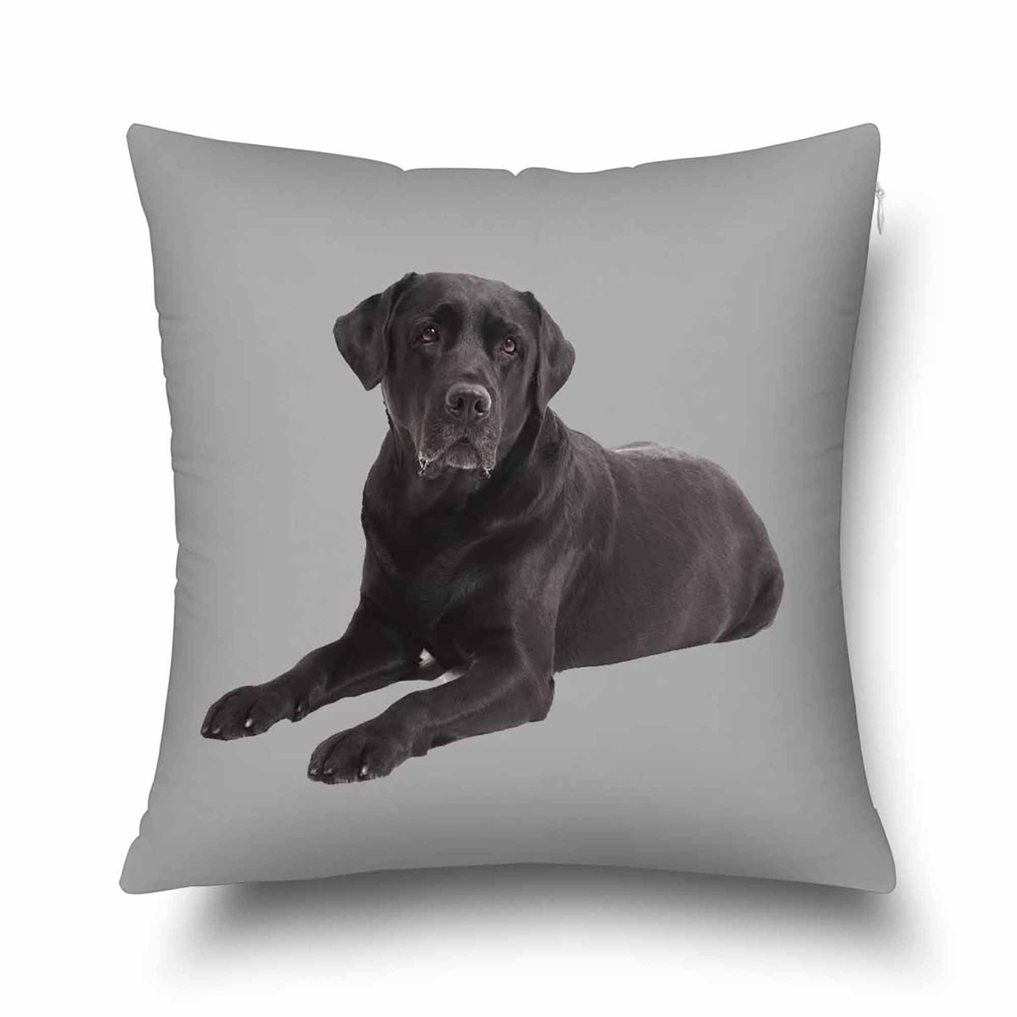 Custom pet pillow cover personalized dog pillowcase cat pet | Etsy