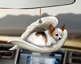 Baby Papillon Etsy