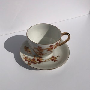 Hand Painted Vintage Tea Cup and Saucer- Made in Japan