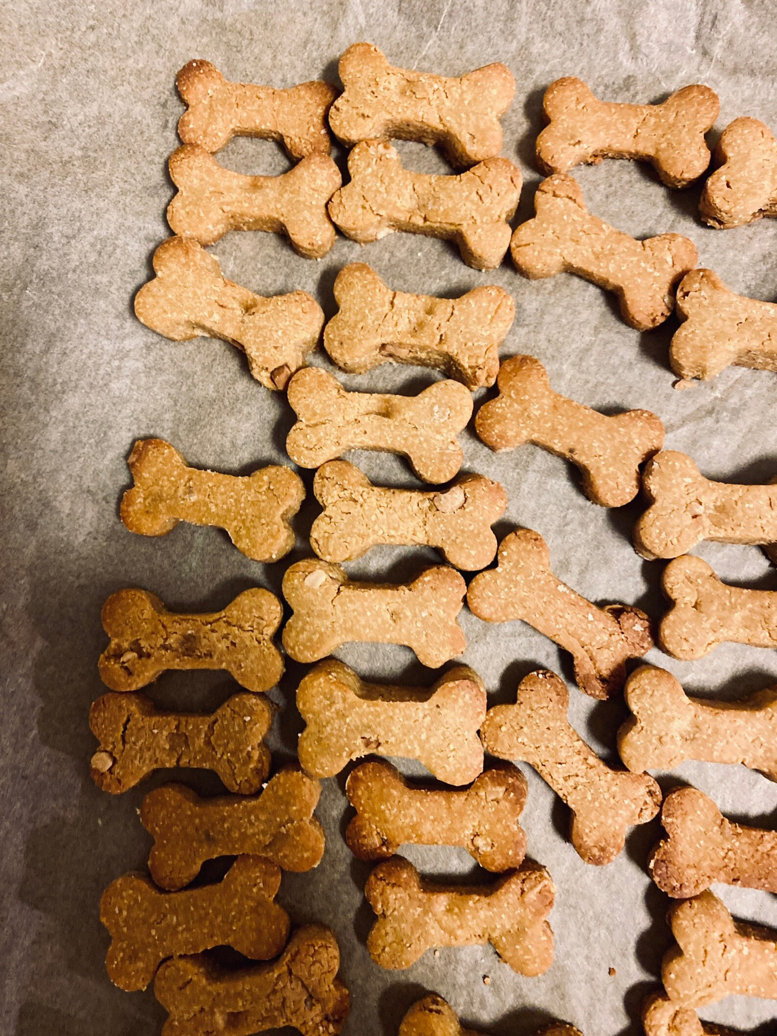 Homemade Organic Dog Treats Etsy